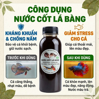 Nước Cốt Lá Bàng Đậm Đặc - Lọc Nano Siêu Trong - Dưỡng Cá Betta, Cá Lóc, Giảm Stress