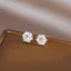 Bông Tuyết Bạc Zircon Bông Tai Đơn Giản Xuyên Bông Tai Thiết Kế Tính Khí Nhỏ Bông Tai Cao Cấp Vít Ánh Sáng Sang Trọng 6.16