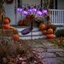 Đèn năng lượng mặt trời DONOVANQQ, Đồ trang trí Halloween hình quả bóng nhện màu tím, Đèn sàn sử dụng ngoài trời ma Sân vườn ngoài trời