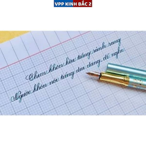Bút luyện chữ ngòi lá tre tặng kèm mực, nét sêu đẹp.