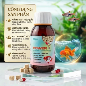 Khoáng Viên Power Joyfish - Vitamin tổng hợp cho cá cảnh, tiêu hóa tốt (Hủ 100gram)