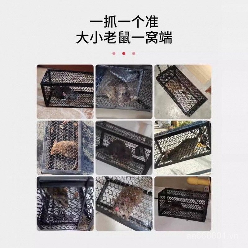 🌟Chuột Lồng Chuột Bẫy Chuột Bẫy Lồng Chuột Bắt Chuột Tự Động Giết Chuột Hộ Gia Đình Chuột Kẹp Dính Chuột Ban YACO