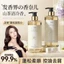 Dầu gội chống gàu Camellia Dầu gội chống ngứa Kiểm soát dầu lông tơ Loại bỏ vết bẩn Sữa tắm Bộ hương thơm lâu trôi AJBO