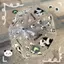 🔥deco chụp ảnh siêu đẹp ins style Fat Dun Big Panda Dù Trong Suốt Bán Tự Động Tay Cầm Dài Ô Trường Tiểu Học Học Cô Gái Bé Kindergar