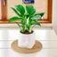 MAKY Mini Tự Tưới Hoa Nồi Cá Nhựa Chậu Cây Tự Tưới Cây Chậu Bình Để Trang Trí Nhà Cửa VN