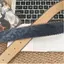 PNPIA- Retro Phong Cách Mỹ Thắt Lưng Nữ Nút Trái Tim Thắt Lưng Da PU Cao Cấp Độc Đáo Cho Quần Jean Đa Năng Trang Trí Phụ Kiện