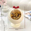 Hộp Đựng Đồ Mini Hình Cầu Dễ Thương Đa Năng Decor Bàn Học Bàn Làm Việc Gọn Gàng Tiện Lợi