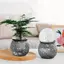 HL Mini Tự Tưới Hoa Nồi Cá Nhựa Trong Suốt Chậu Cây Tự Tưới Cây Chậu Bình Để Trang Trí Nhà Cửa LMWU