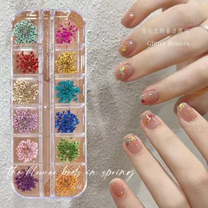 Ooolala Nails 12 Lưới Monet Garden Flower Ba Chiều Tươi Hoa Năm Cánh Siêu Mỏng Móng Tay...