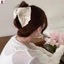 Lớn Thêu Ren Cá Mập Kẹp Tóc Vuốt Cho Nữ Thoải Mái Không Trơn Trượt Mùa Xuân Phụ Kiện Tóc