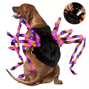 Top Thú Cưng Cosplay Bật Sáng Ngộ nghĩnh Nhện Arachnids Trang Phục Mèo Chó Đảng Phụ Kiện