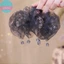 SUND Lưới Ngọt Ngào Vải Tuyn Vuốt Tóc Cho Nữ Tính Khí Sáng Zircon Đuôi Ngựa Kẹp Công Chúa Mũ Đội Đầu Phụ Kiện Tóc Quà Tặng VN