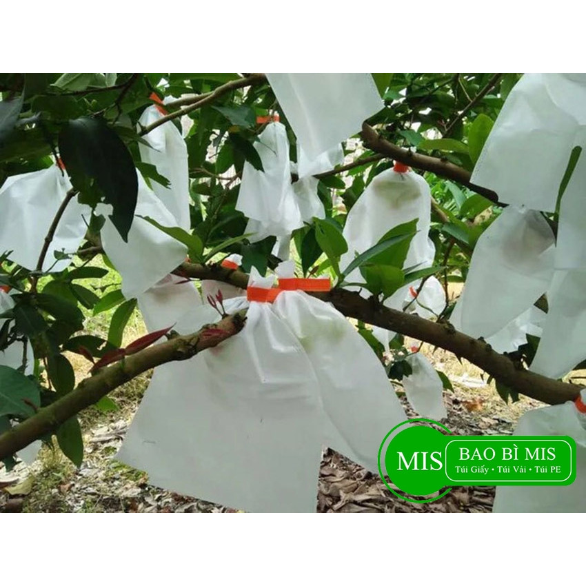 Túi Bọc Trái Cây Cho Ổi, Na, Nhãn, Chống Côn Trùng, Chất Liệu Vải Không Dệt Có Dây Rút, Tiện Lợi, Dùng Bền 3-5 Mùa, Size