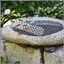 Bee Waterer Thang Bee Waterer Butterfly Waterer Trạm uống nước ong cho bể bơi Sân vườn Ao Patio mueadsyvn