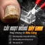 ⚡Ship Nhanh⚡Kìm cắt móng chân viêm sâu | Bấm inox cắt da chết tiện lợi | Kìm chỉnh hình móng âm cao cấp