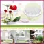 VFlower Ếch Trong Suốt Ikebana Hoa Pin Ếch Có Cốc Hút Tròn Trong Suốt Pin Ếch Cho Hoa shopidaevn