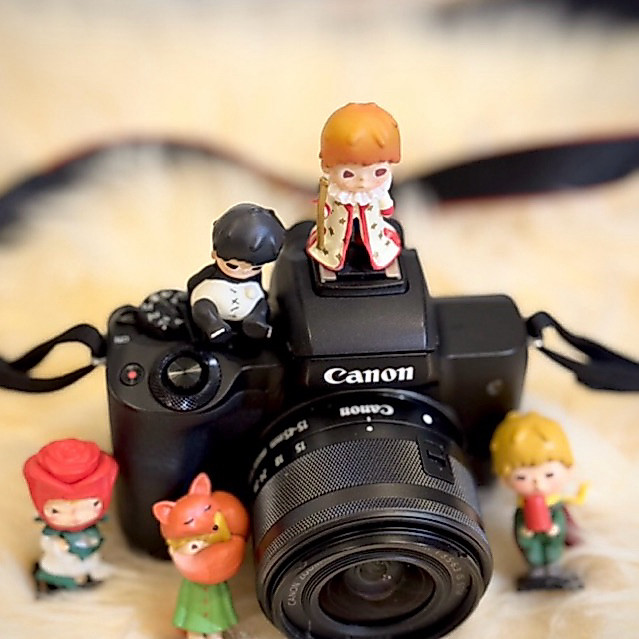 [CÓ SẴN] Hotshoe cover HIRONOxLE PETIT PRINCE nắp che flash cho máy ảnh DSLR Mirrorless Máy ảnh film