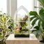 Hộp bò sát Acrylic QEARY, Terrarium nhện thông gió trong suốt, Khóa khóa vỏ thằn lằn Hộp đựng thức ăn bò sát chống thoát hiểm Jumping Spider Habitat