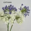 CATIYAHA Hoa sen giả, Nhánh hoa Agapanthus giả bằng nhựa, Phụ kiện bàn hoa nhân tạo dài 75cm sang trọng
