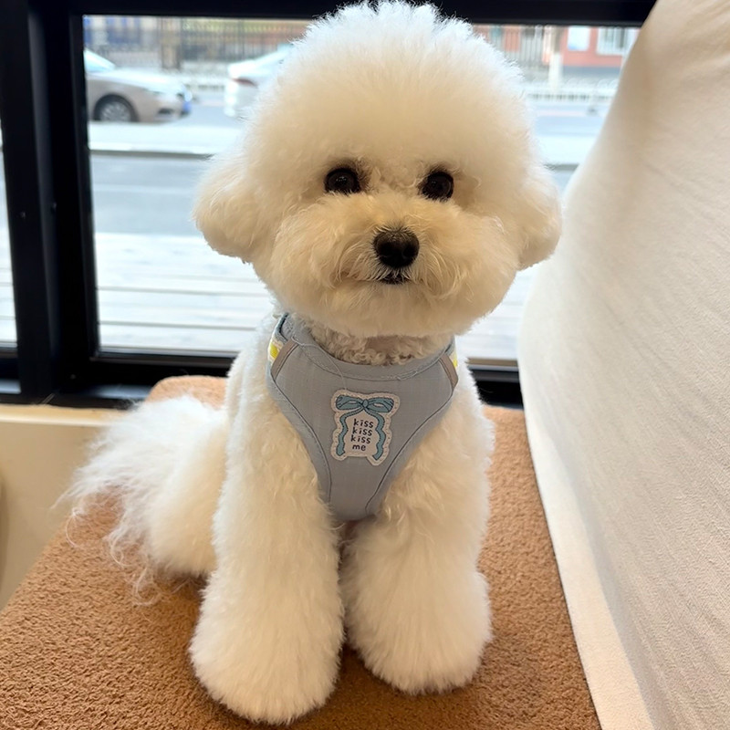 [Pet-Eleven] Phong Cách Hàn Quốc Nơ Ngực Lưng Áo Vest Dễ Thương Phong Cách Dây Đeo Ngực Dây Xích Chó Chống Chia Đêm Phản Quang Đi Chơi Dây Xích Đi Chơi Cho Chó Đi Bộ Dây Đeo Ngực Thú Cưng Mèo / Chó Nhỏ