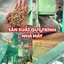 Ngũ Cốc Gà Đá Đại Đại Nguyên Hạt - Tặng Men Sống Cao Tỏi [Hết tháng 5]