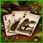 Bộ bài 54 mảnh Trò chơi bàn chủ đề khủng long Thẻ bài Poker dành cho gia đình Du lịch gia đình Tiệc tập hợp cắm trại saixit2vn