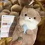 Bluelover Hoạt Hình Dễ Thương Otters Cầm Cá Búp Bê Sang Trọng Có Dây Xích Mới