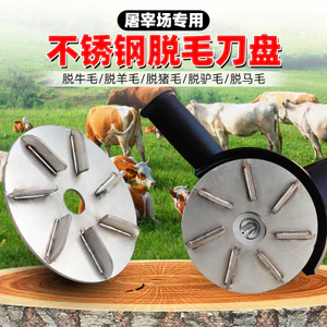 Điện Lợn Cạo Dao Thép Không Gỉ Kế Hoạch Tóc Lợn Dụng Cụ Tiện Dụng Thương Mại Dao Cạo Tập Tin Cạo Râu Heo Heo Heo Mặt Heo Chân Lợn Đĩa VIZ1