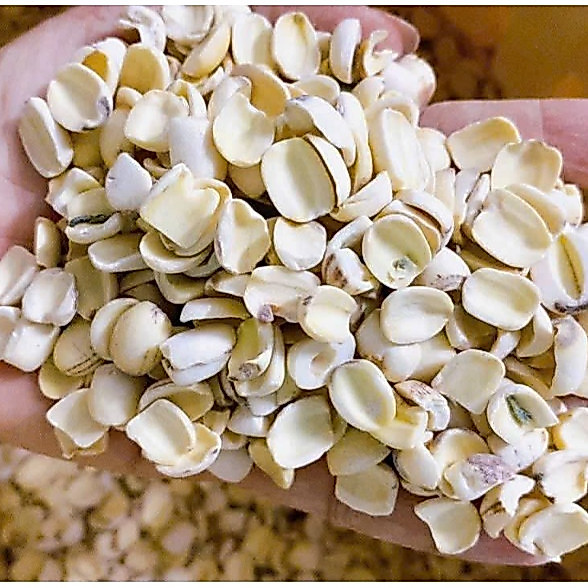500g Hạt Sen Vỡ Trắng - Nấu Thơm - Giàu Dinh Dưỡng | Hạt Sen Tươi Đồng Tháp
