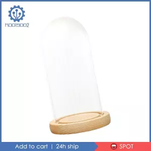 Kính Trong Suốt Mái Vòm Cloche Bệ DIY Búp Bê Trang Trí Nhà Chuông Bình Hiển Thị Mái Vòm Cho Sưu Tập Văn Phòng Tiệc Cưới Nhà