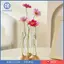 Bình Hoa Mini Người Trồng Hoa Sắp Xếp Cây Giữ Bình Cho Kệ Phòng Khách Trong Nhà Để Bàn Trang Trí Nhà Cửa