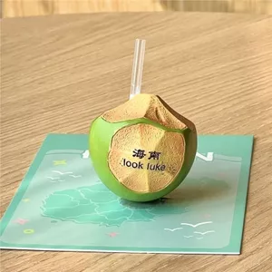 Hải Nam Nhựa Dừa Từ Tủ Lạnh Dán Văn Hóa Sáng Tạo Du Lịch Quà Lưu Niệm Quà Tặng Kèm Bạn Bè Sau Khi Gửi 7.1