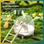 BVY Hamster Phòng Tắm Vệ Sinh 2 Trong 1 Gạc Trong Suốt Thiết Kế Bồn Tắm Phòng Lớn Để Vệ Sinh Thú Cưng Chải Lông Và Chơi.