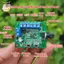 Bộ điều khiển tốc độ động cơ DC không chổi than DC12V 20-30W Có ổ đĩa động cơ không chổi than Bảng điều khiển tốc độ PWM ELWW