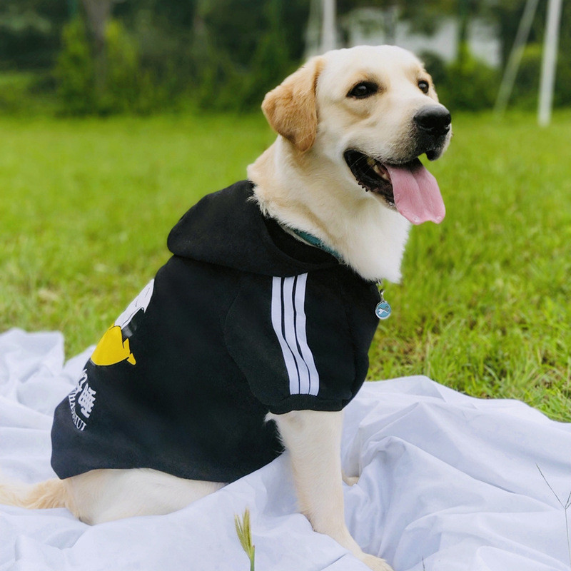 【Ready Stock】 Large Dog Clothes Golden Retriever Labrador Medium-Sized Dog Puppy Dog Clothes Sweater Fall Winter Sweater KvTE