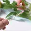 Trong Kho 100 cái/lốc/Túi Kẹo Màu Sắc Đôi Đầu Bông Gạc Bông Thanh Trang Điểm Công Cụ Cá Tuyết
