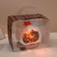 Quà Tặng Tốt Nghiệp Tự Làm Cabin Handmade Lắp Ráp Quà Tặng Sang Trọng Gửi Quà Tặng Sinh Nhật Bé Gái Với Ánh Sáng Đồ Trang Trí Nhỏ 0616