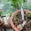 COD Cây sục khí Ống trồng cây Chèn Ống thông gió Rootlet Rot Phòng chống nước cho tất cả các loại Chậu hoa MỚI