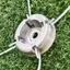 HL Đầu cắt cỏ bằng hợp kim nhôm đa năng với dây chuyền cắt cỏ bằng thép Nylon Bộ phận thay thế máy cắt cỏ LMWU