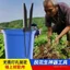 Chọn Đậu Phộng Dụng Cụ Tiện Dụng Máy Chọn Trái Cây De-Peanut Tách Nâng Cấp Thiring Máy De-Peanut Dụng Cụ Kẹp Hướng Dẫn Sử Dụng AMW6