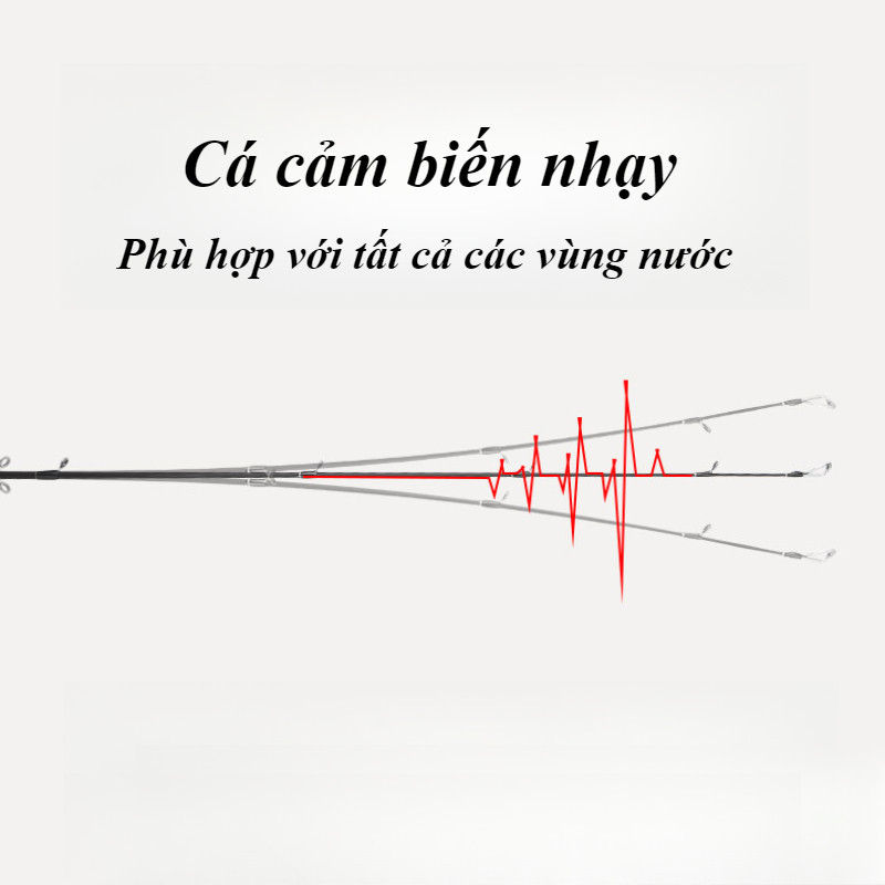 Cần Câu Quay Đúc Carbon - Nhẹ, Nhạy Cao, Thích Hợp Cho Người Mới & Câu Giải Trí