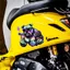 Muscle Bulldog Dán Xe Ô Tô Độc Đáo Bìa Trang Trí Miếng Dán Hành Lang Lối Vào Có Thể Tùy Chỉnh 26.3.22