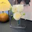 HL Acrylic Khung Ảnh Bình Hoa Thủy Canh Hiện Đại Bình Hoa Để Bàn Giá Đỡ Vật Trang Trí Nhà Quà Tặng Bàn Cưới Trang Trí Trung Tâm LMWU