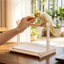 Đế để bàn FUHUIOT Vẹt, Nền tảng huấn luyện bô vẹt cực chống trượt sáng tạo, Thiết kế chống bắn tung tóe Khay có thể tháo rời Giá đỡ vẹt bằng gỗ tương tác Giảm bớt sự nhàm chán