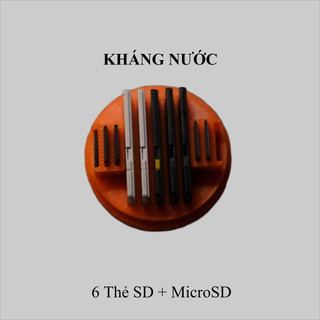 Hộp Đựng Thẻ Nhớ SD / MicroSD kháng nước