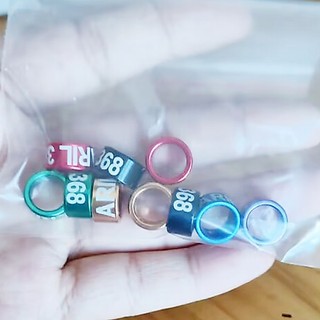 10 Chiếc 10 Mm Bồ Câu Nhẫn Chân Y2026 + Số 10 / 8 Mm Chim Lớn Tùy Chỉnh Cá Tính Thẳng Nhôm Chân Nhẫn Dove Bay Huấn Luyện Chân Nhẫn