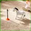 Đồ Chơi Ngựa Cho Trẻ Em Điện Millstone Kéo Động Vật Các Bức Tượng Playset Nhân Vật Ngựa Có Khớp Linh Hoạt Cho saixit2vn