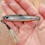 Jig kim loại dọc, 15g 20g Thiết kế đúc kéo Shore Jigging Mồi, Chất liệu kim loại Jigging dọc Loại mồi cứng Thìa Bass biển Câu cá hồi