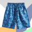 Quần short đi biển khô nhanh Unisex cho kỳ nghỉ ngoài trời và lướt sóng, quần short thông thường đa năng