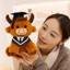 Cao Nguyên Bò Sang Trọng Mũ Tốt Nghiệp Thiết Kế Sash Bò Scotland Dễ Thương Lưu Niệm Búp Bê Sang Trọng